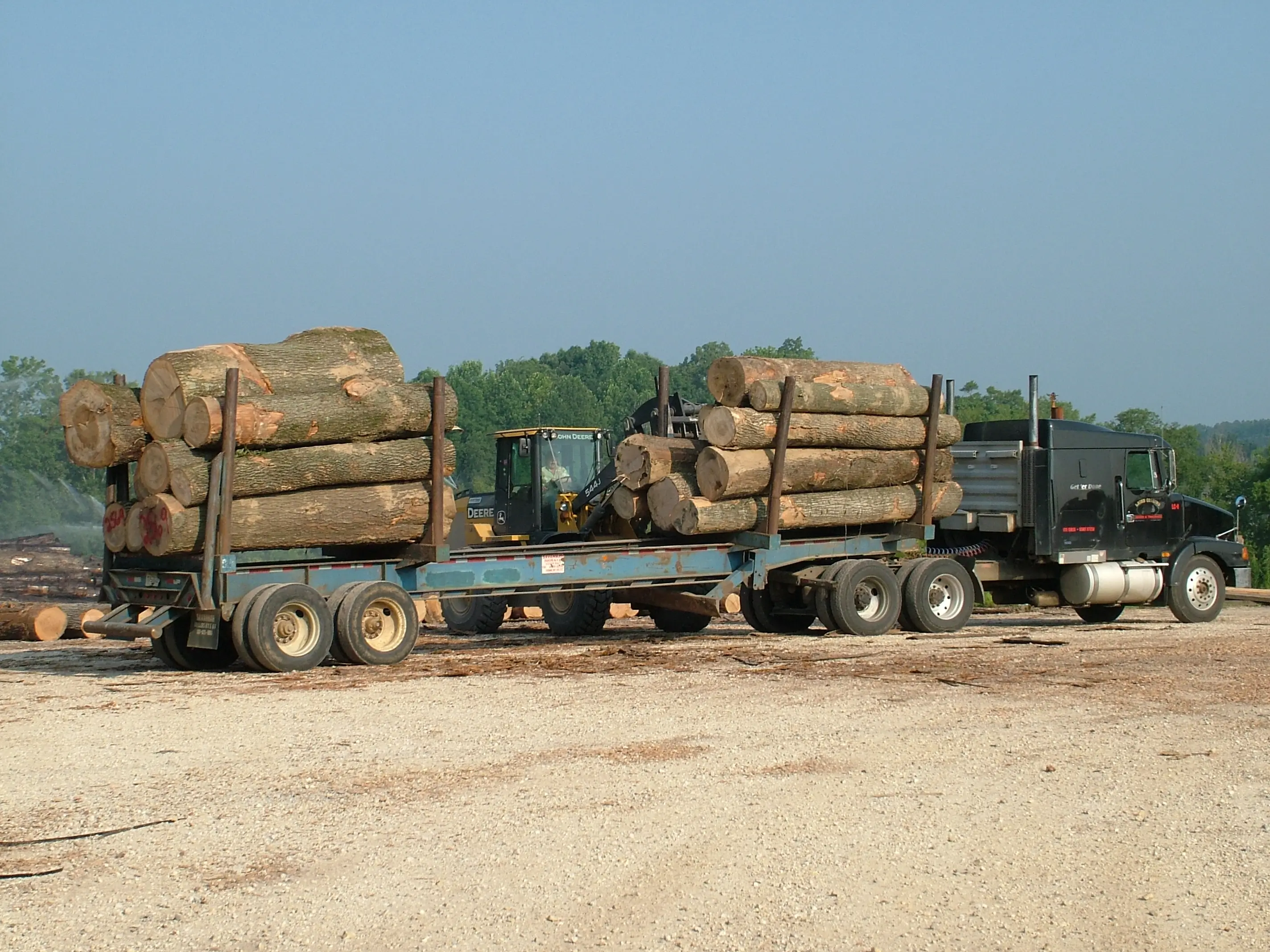 logs 02 (1)
